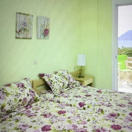 Erato1 * Plakias